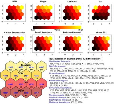 An artificial intelligence approach for identifying efficient urban forest indicators on ecosystem service assessment